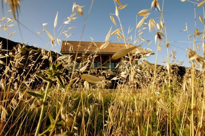 spcrm4395-sxxbu9s7rcrowebi