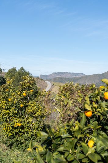 Image No.30-2 Bed Finca for sale