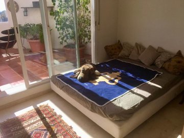 spcrm4482-gbuy9ejwnokzi4mf