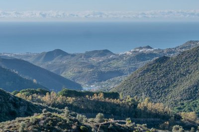 spcrm4412-9shpckvpdgsy5vtu