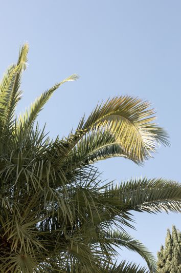 Image No.21-2 Bed Apartment for sale