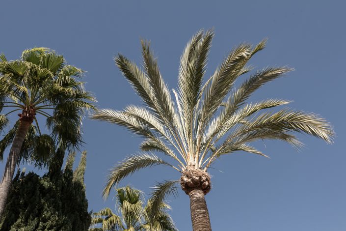 Image No.24-2 Bed Apartment for sale