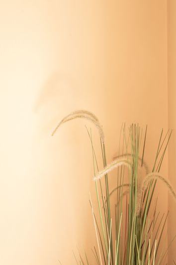 Image No.30-2 Bed Apartment for sale