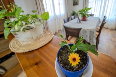 spcrm4401-dirw9bjs0f2dqwdo