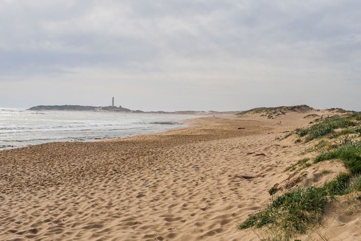 Image No.14-6 Bed Commercial for sale