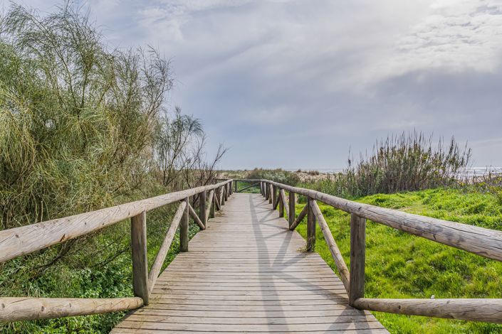 Image No.17-6 Bed Finca for sale