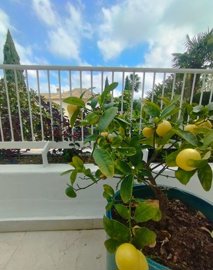 spcrm4514-3ob1bkhtbcwvslvv