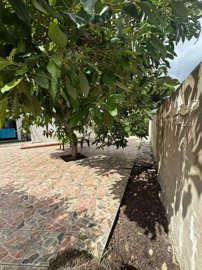 spcrm4704-cflb8tycstlltyls