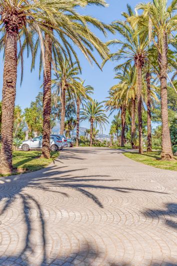 Image No.11-8 Bed Villa for sale