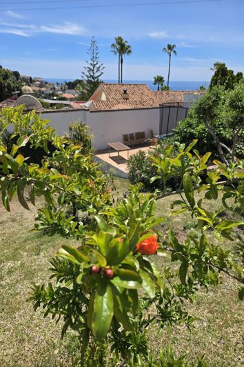 Image No.24-4 Bed House for sale