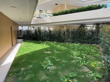 spcrm4798-wjp5bldob6tze17v