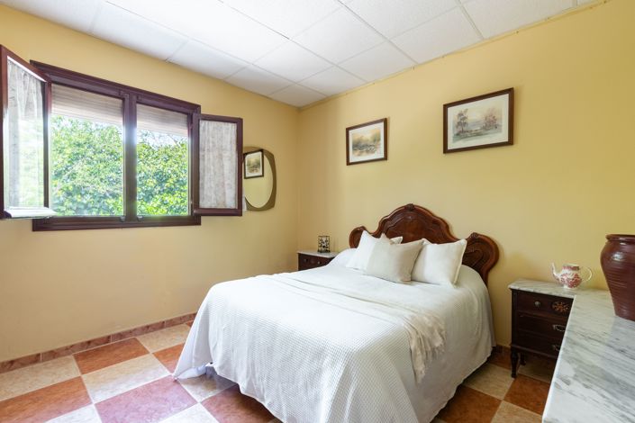 Image No.14-3 Bed Finca for sale