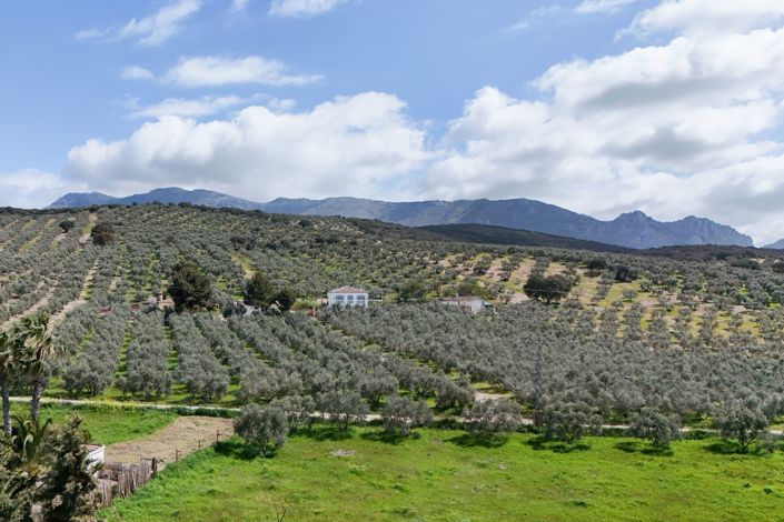 Image No.21-3 Bed Finca for sale