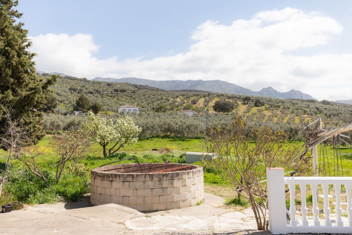 Image No.4-3 Bed Finca for sale