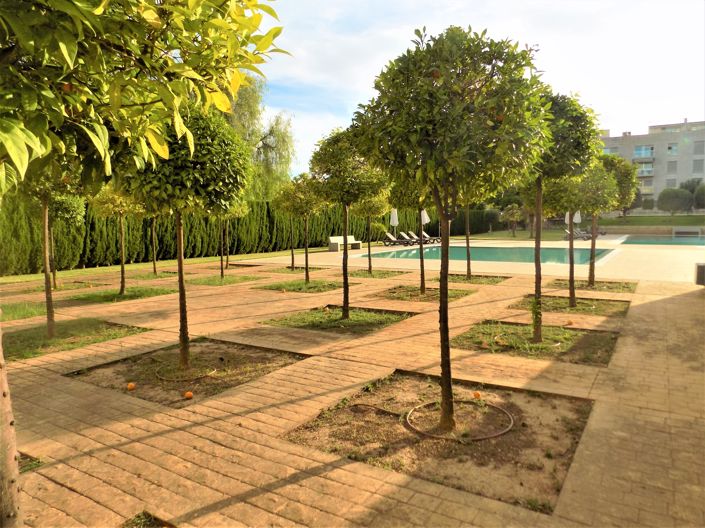 Image No.30-3 Bed Penthouse for sale