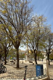 spcrm4934-f7p7yifir5kxr4vc