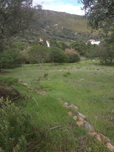 Image No.5-Terrain de 1 chambre à vendre à Tarifa