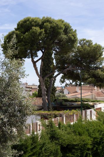 Image No.5-6 Bed House for sale