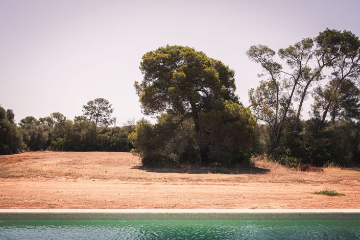Image No.5-3 Bed Finca for sale