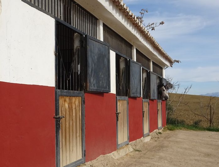 Image No.4-4 Bed Property for sale