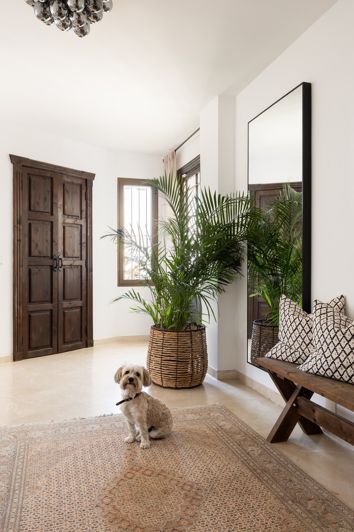 Image No.19-5 Bed House for sale