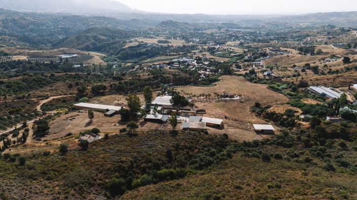 Image No.14-Finca for sale