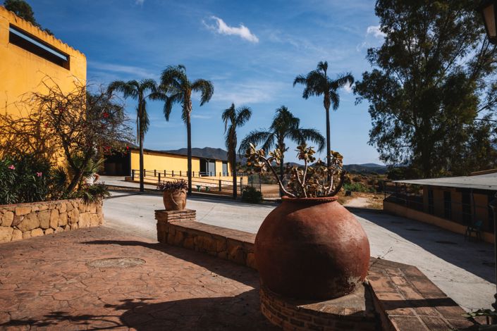 Image No.3-Finca for sale