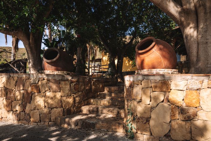 Image No.4-Finca for sale