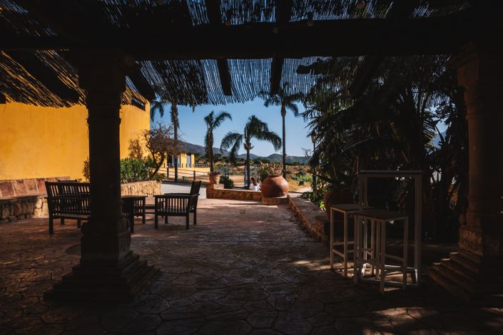 Image No.5-Finca for sale