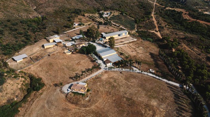 Image No.9-Finca for sale
