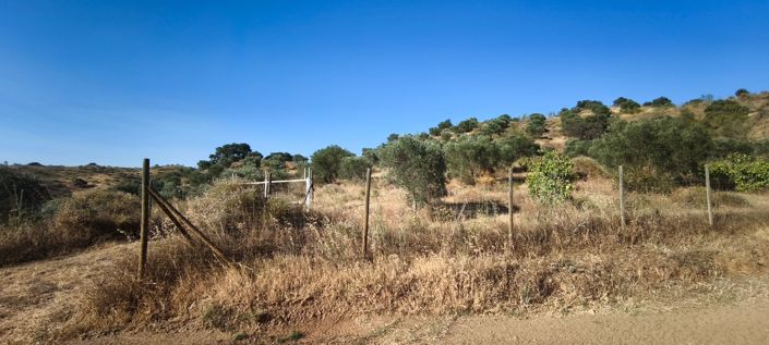 Image No.3-Plot for sale