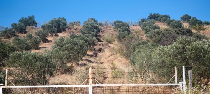 Image No.5-Plot for sale