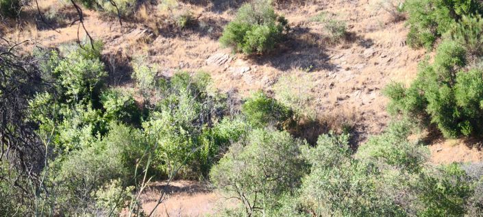 Image No.23-Plot for sale
