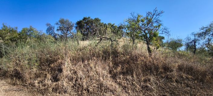 Image No.24-Plot for sale