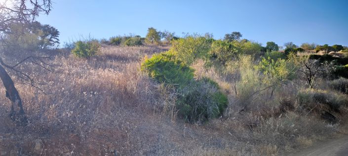 Image No.30-Plot for sale