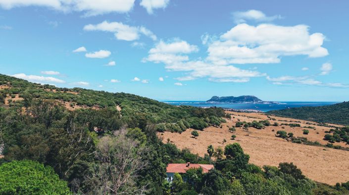 Image No.4-3 Bed Finca for sale