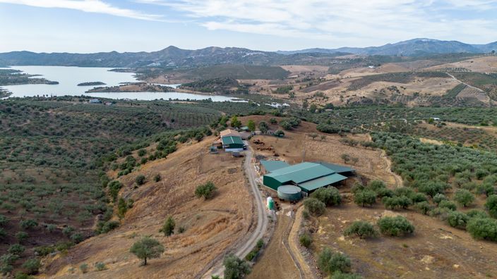 Image No.3-4 Bed Finca for sale