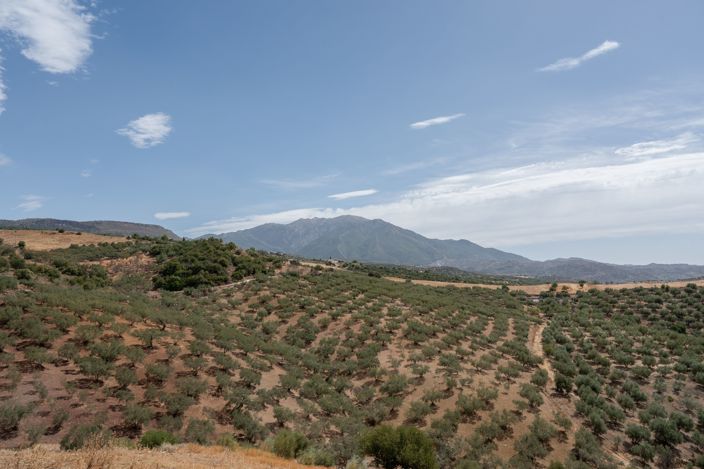 Image No.30-4 Bed Finca for sale