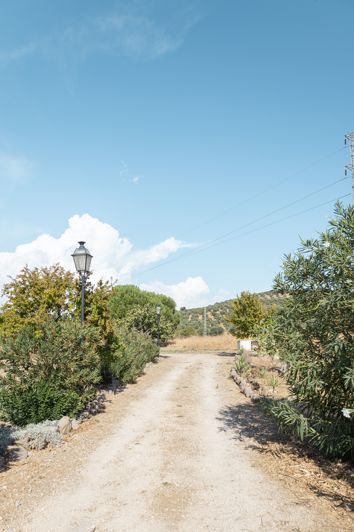 Image No.26-3 Bed Finca for sale