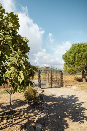 Image No.29-3 Bed Finca for sale