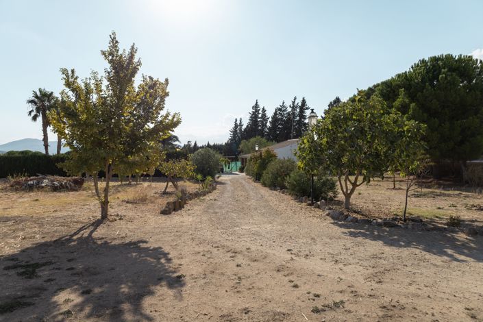 Image No.30-3 Bed Finca for sale