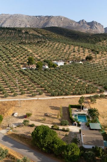 Image No.6-3 Bed Finca for sale