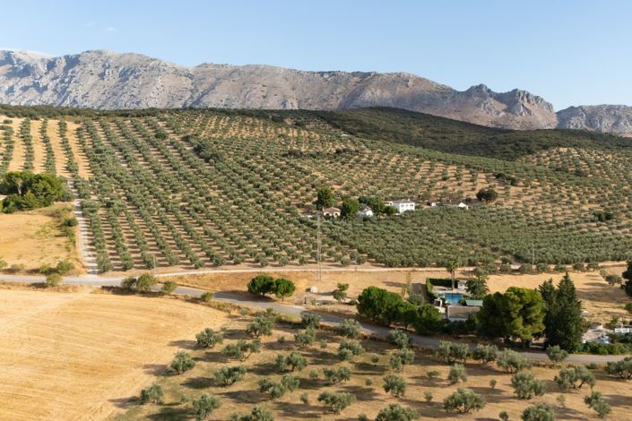 Image No.7-3 Bed Finca for sale
