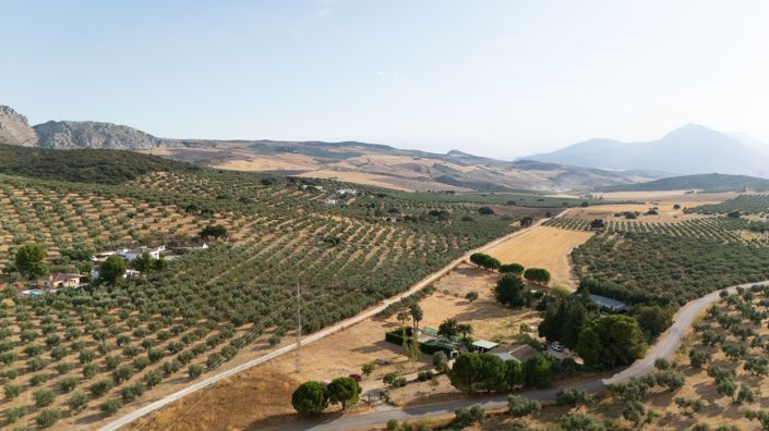 Image No.8-3 Bed Finca for sale