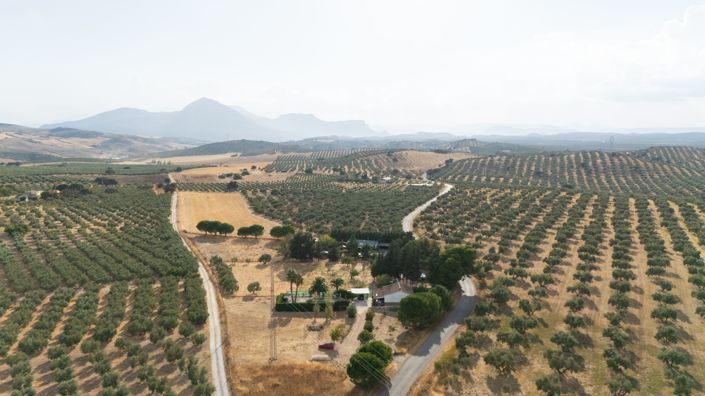 Image No.9-3 Bed Finca for sale