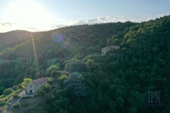 Image No.6-7 Bed Chateaux for sale