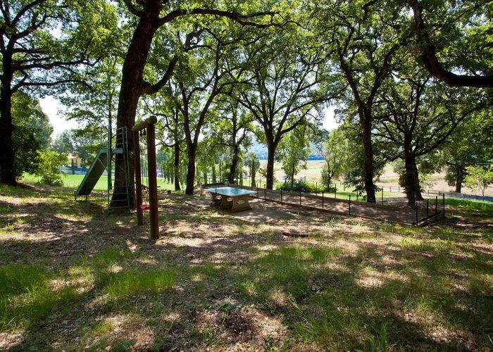 Image No.25-Ferme de 12 chambres à vendre à Citerna