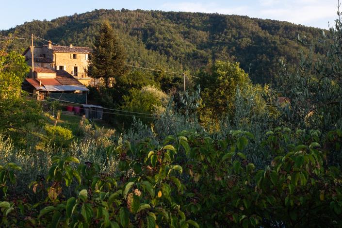 Image No.7-Propriété de pays de 3 chambres à vendre à Lisciano Niccone