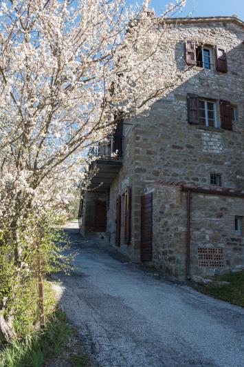 Image No.3-Propriété de pays de 3 chambres à vendre à Lisciano Niccone