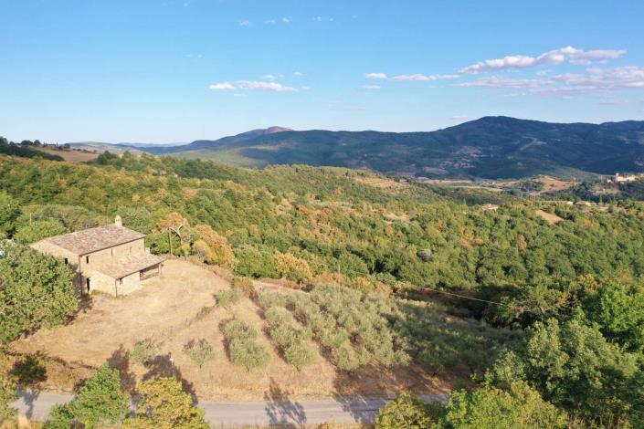 Image No.2-Ferme de 2 chambres à vendre à Cortona
